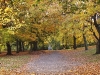 2007-berlin-oktober_0.jpg