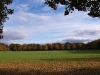 2007-berlin-oktober_2.jpg