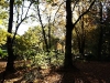 2007-chemnitz-herbstspaziergang_1.jpg