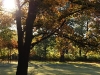 2007-chemnitz-herbstspaziergang_11.jpg