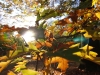 2007-chemnitz-herbstspaziergang_17.jpg