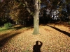 2007-chemnitz-herbstspaziergang_3.jpg