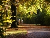 2007-chemnitz-herbstspaziergang_5.jpg