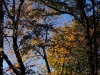 2007-chemnitz-herbstspaziergang_7.jpg