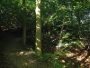 2006-freiburg_15.jpg